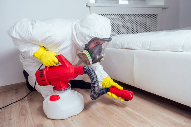 Emergency Pest Control Services in Port Carbon, PA